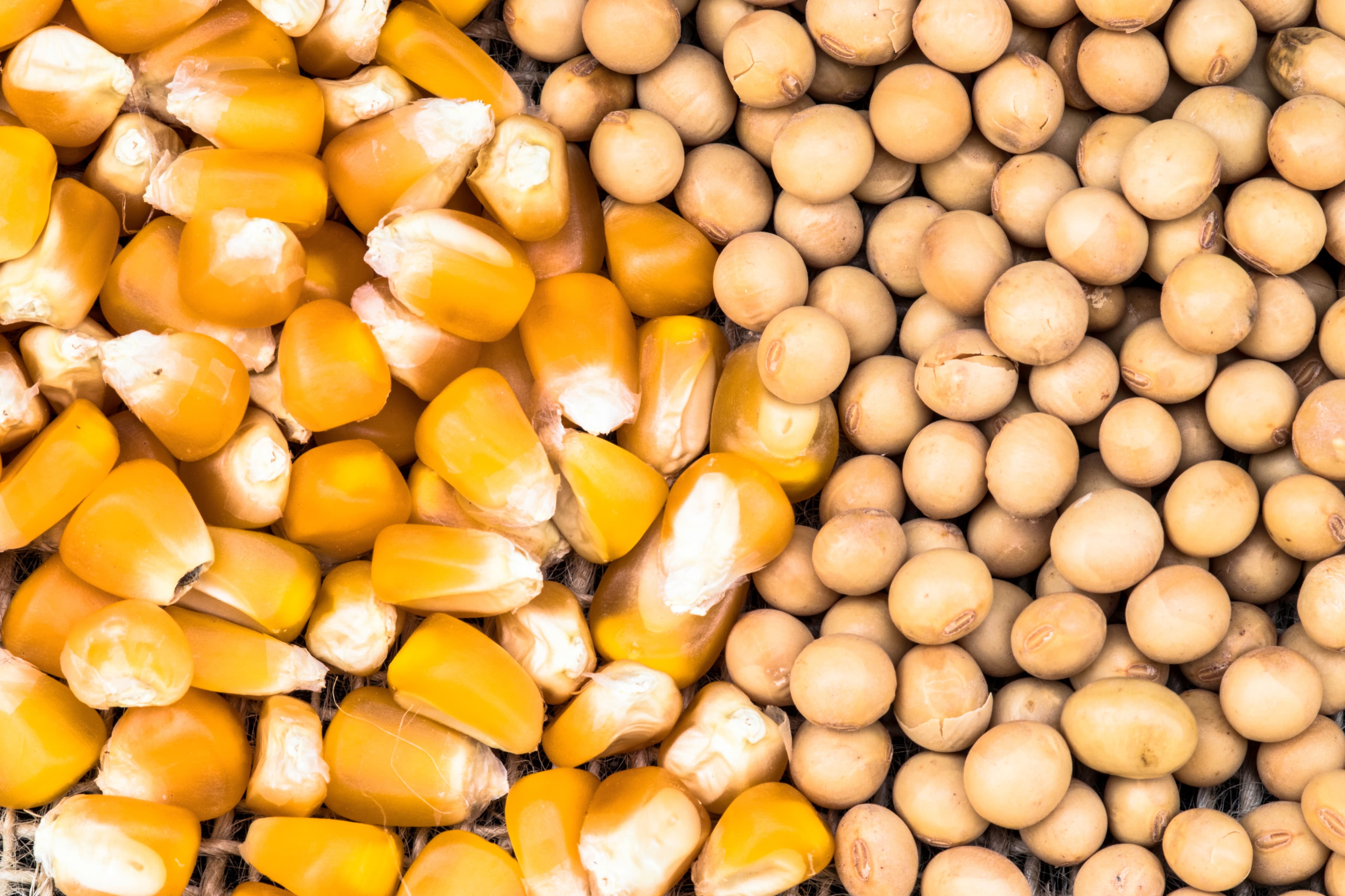 Commodities Trading Dashboard